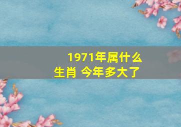 1971年属什么生肖 今年多大了